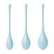 Набор йони бусин Satisfyer Yoni Power 2 Light Blue, диаметр 2-2,5-3см, вес 22-44-73гр SO5548 фото 2