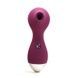 Вакуумный стимулятор KISTOY Polly Violet SO6543 фото 1